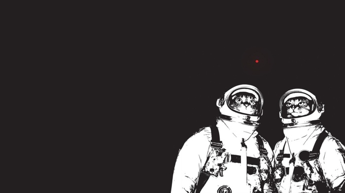 astronaut, minimalism, kittens