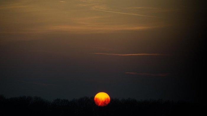 forest, sunset, Sun