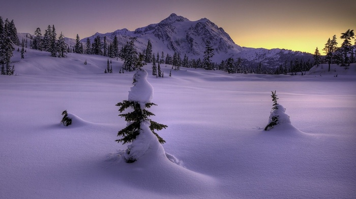 winter, mountain, landscape, snow, trees