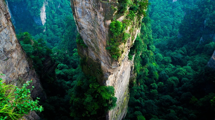 China, national park, nature, mountain, summer, landscape, green, forest, cliff, aerial view