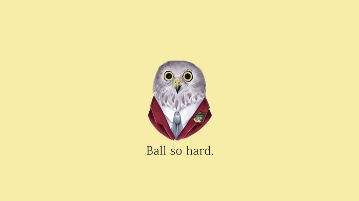 Kanye West, owl, quote