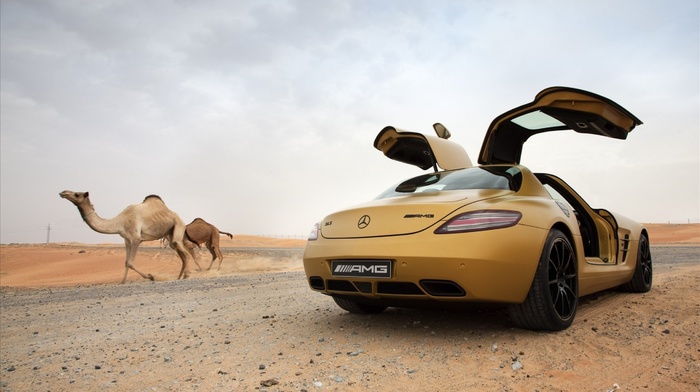 Mercedes, Benz SLS AMG, animals, car, camels, desert
