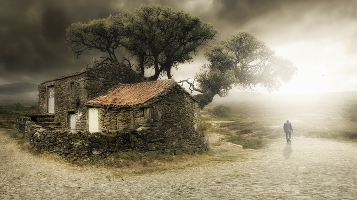 old, clouds, gray, trees, nature, house, mist, landscape