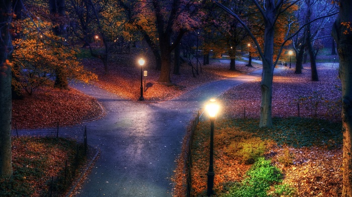 nature, New York City, fall, street light, walkway, evening, park, landscape, trees