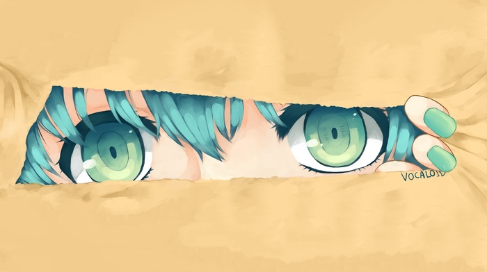 Mirai Nikki, eyes, Hatsune Miku, Vocaloid, anime, Gasai Yuno