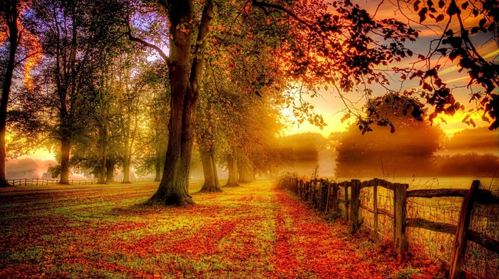 field, nature, mist, trees, red, landscape, fall, fence, yellow, clouds, sunrise, green, morning