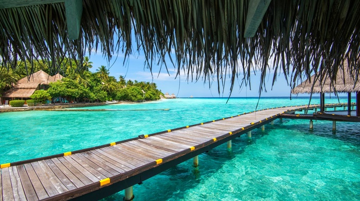 turquoise, Vacations, tropical, palm trees, resort, Maldives, beach, summer, sea, water, walkway, nature, landscape