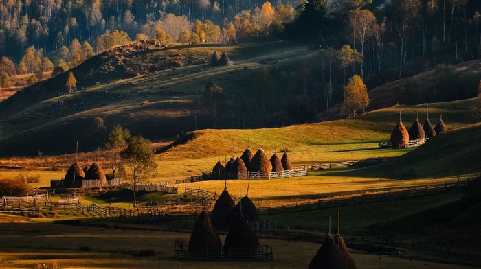 fence, nature, Romania, sunrise, field, fall, forest, grass, hill, landscape, trees