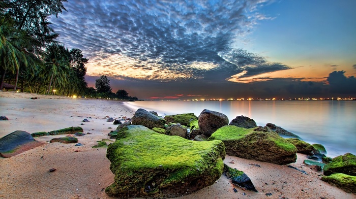 sea, Singapore, sunrise, nature, clouds, HDR, landscape, sand, palm trees, beach, rock
