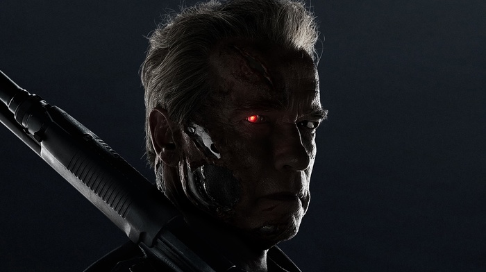 T, 800, Arnold Schwarzenegger, Terminator Genisys, cyborg, movies, Terminator, weapon