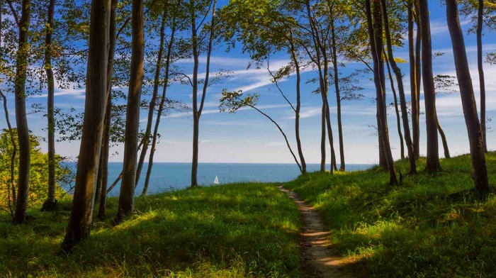 path, forest, blue, coast, trees, Germany, landscape, nature, sea, green