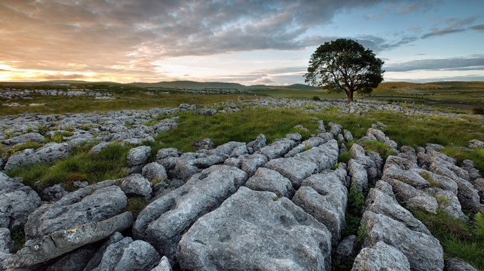 landscape, rock, nature