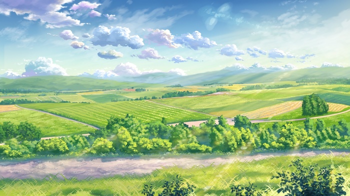 sunlight, field, landscape, clouds