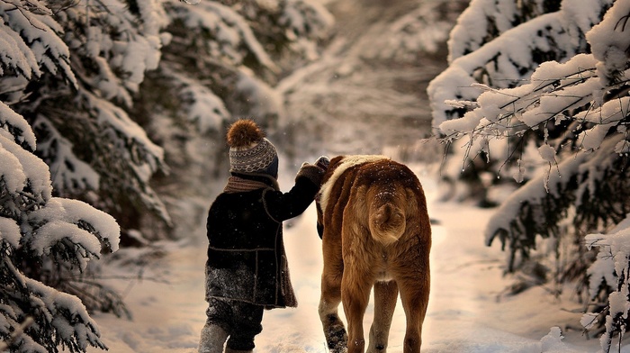 snow, dog, children, animals