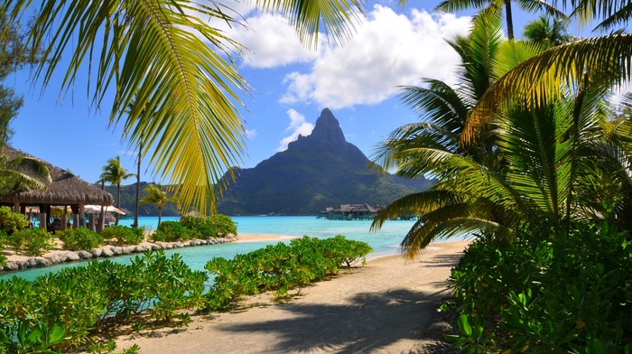 palm trees, resort, beach, shrubs, landscape, tropical, nature, Bora Bora, sea, mountain, summer, clouds, French Polynesia