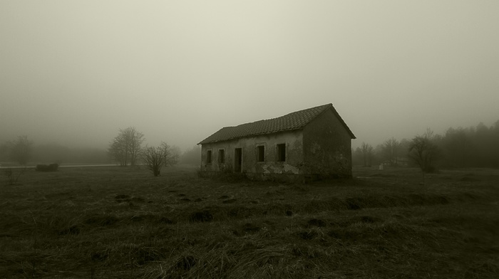 abandoned, building, mist, spooky