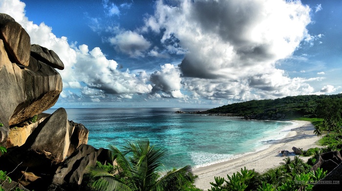 landscape, beach, nature