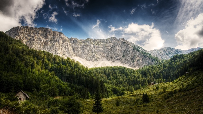 mountain, nature, landscape, forest