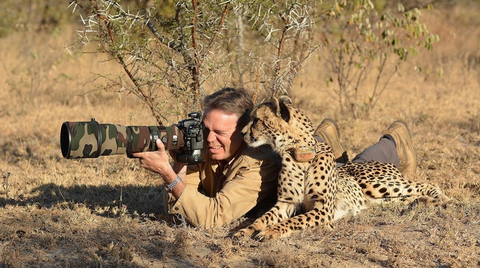 photographers, cheetah, camouflage, animals, nature