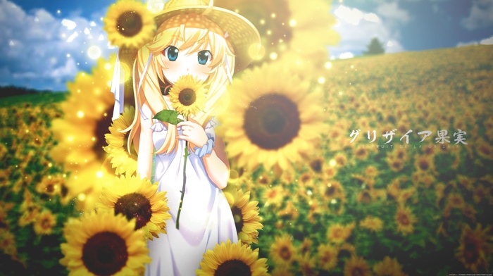 Matsushima Michiru, Grisaia no Kajitsu, sunflowers, anime girls