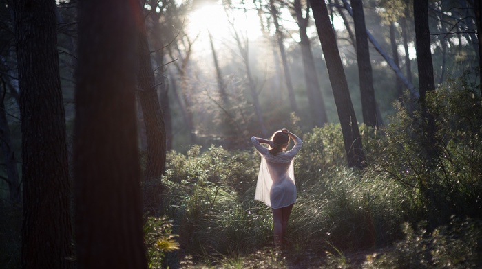 girl, trees, forest, see, through clothing, legs, sunset, grass