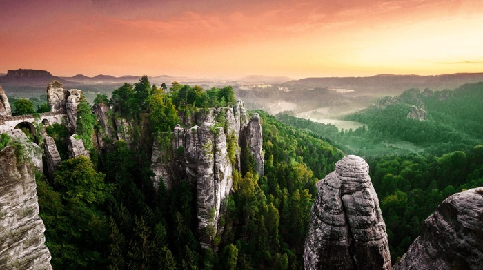 rock, nature, landscape, forest