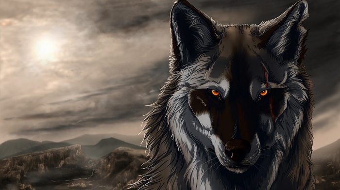 animals, digital art, artwork, wolf