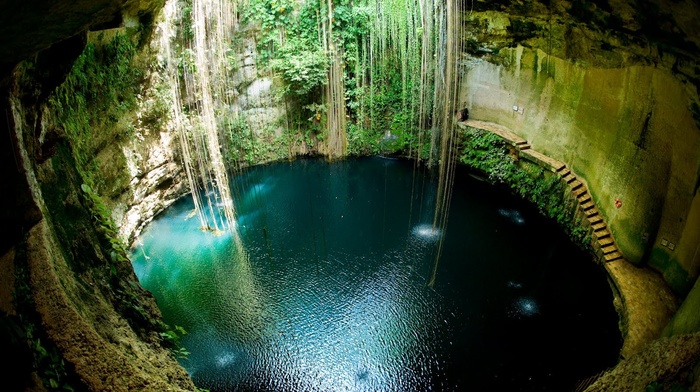 sinkholes, water, scuba diving, pit, landscape, nature, Mexico, cenotes, cave, lianas, circle