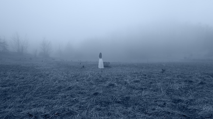 forest, girl, mist