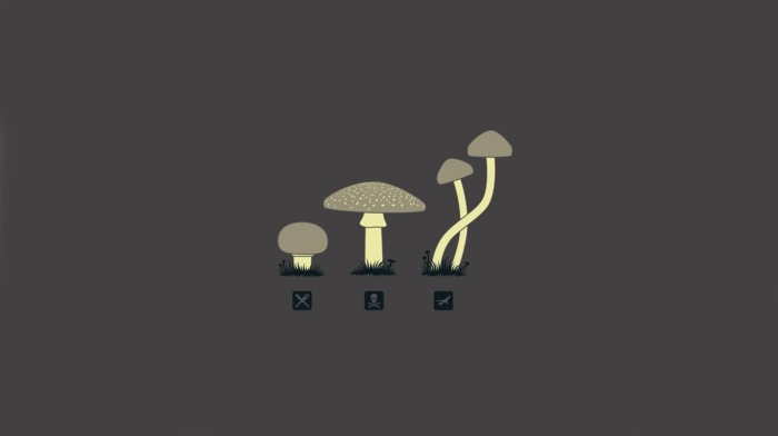 mushroom, minimalism, drugs