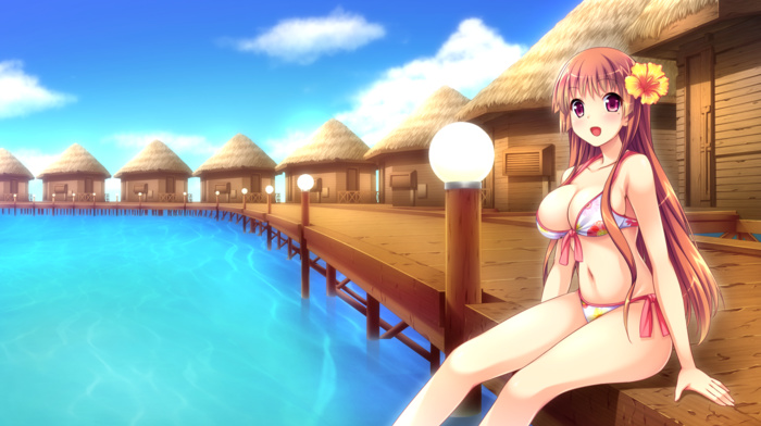 bikini, long hair, anime girls