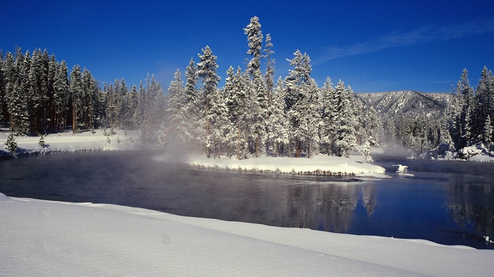 lake, forest, landscape, snow