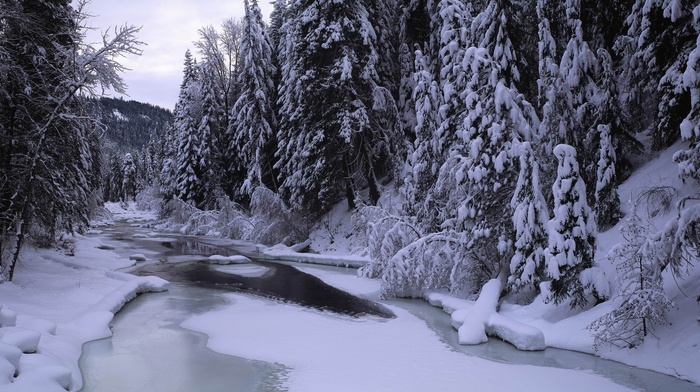 nature, river, landscape, ice, forest, snow