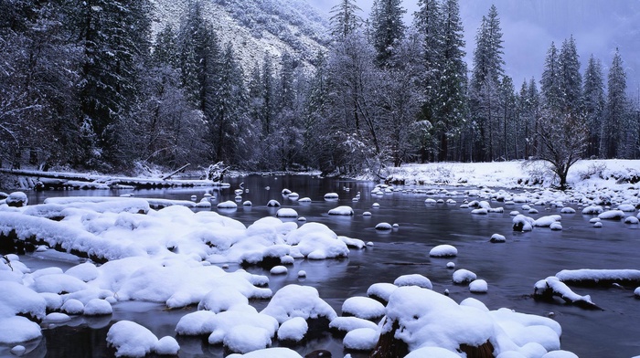 snow, trees, forest, landscape, ice, nature