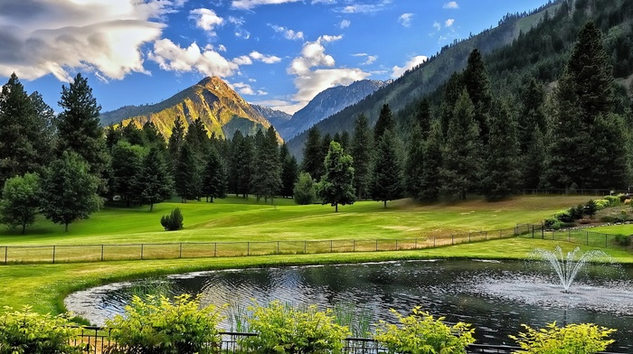 nature, park