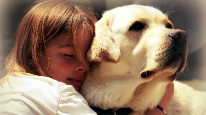 children, animals, dog