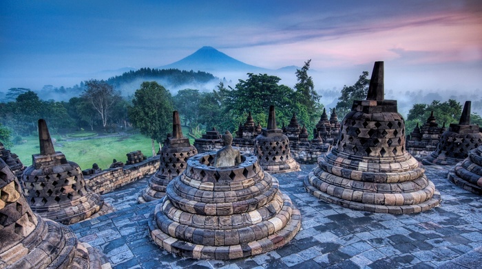 World Heritage Site, statue, stupa, sunrise, mist, forest, landscape, mountain, Indonesia, buddhism, Borobudur, grass, nature