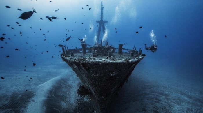 silhouette, ship, divers, sea, bubbles, water, shipwreck, blue, fish, underwater