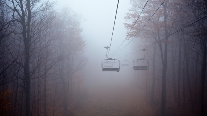 mist, landscape, trees, forest