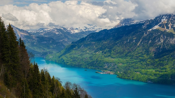 mountain, nature, trees, lake, landscape