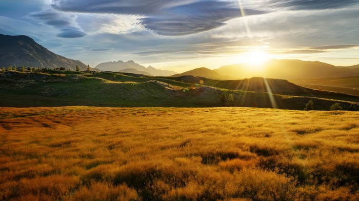 landscape, sunset, field