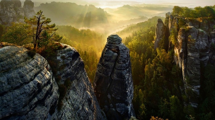 valley, forest, sunrise, Saxon Switzerland, mountain, sun rays, nature, landscape, trees, mist, cliff