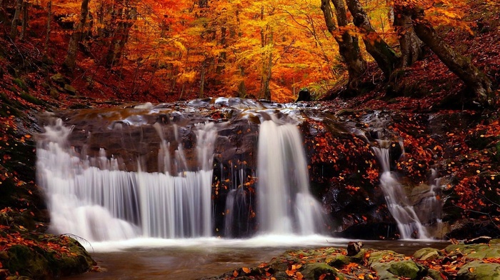 trees, waterfall, landscape, nature, river, fall
