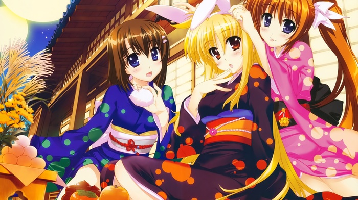 anime girls, kimono, Fate Testarossa, Yagami Hayate, Takamachi Nanoha, Mahou Shoujo Lyrical Nanoha, Japanese clothes, animal ears