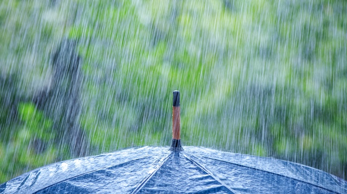closeup, rain, umbrella
