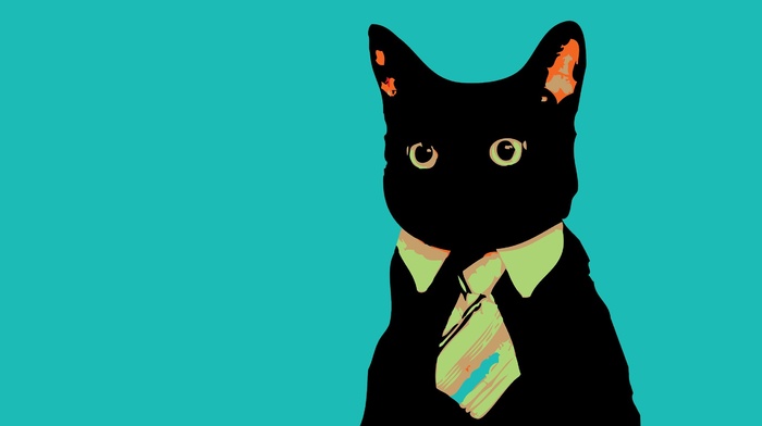 cat, animals, colorful, Business Cat, minimalism