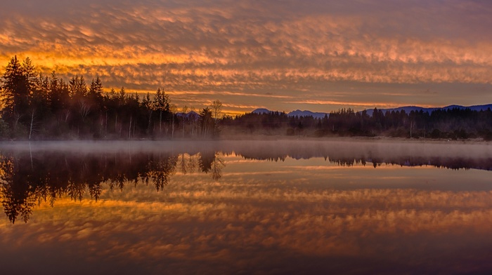 lake, reflection, water, landscape, clouds, hill, sunrise, Germany, morning, mist, trees, forest