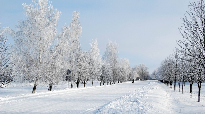 trees, landscape, nature, road, snow