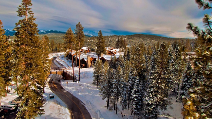 snow, landscape, nature, road, forest