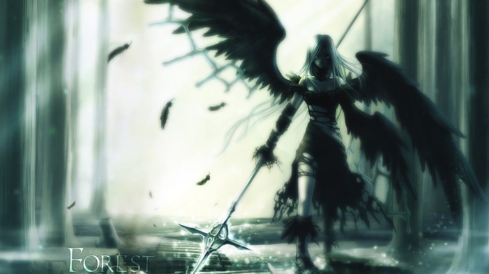scepters, torn clothes, feathers, wings